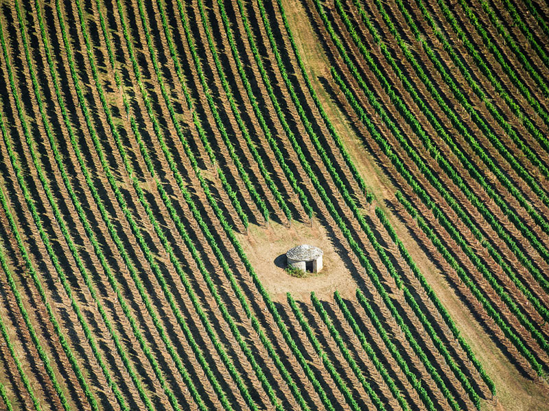 Vignes de Hautes côte de Beaune et de Nuits